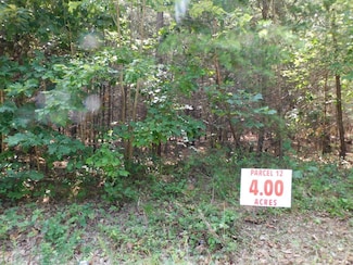 4 AC Neals Corner Rd, Clover, VA 24534