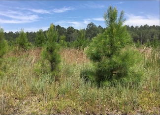 0 Shearwood Rd, Guyton, GA 31312