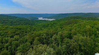 357 Tara Rd Unit 1, Guntersville, AL 35976