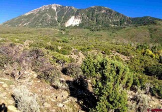 TBD L50 Rd, Paonia, CO 81428
