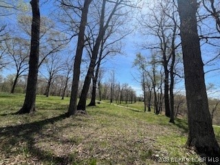 (Gravois Arm) Timber Ridge Estates, Versailles, MO 65084