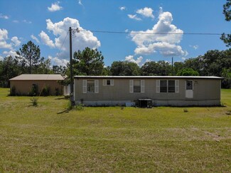 399 Helena-Chauncey Rd, Helena, GA 31037