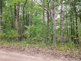 00 Buck Ln Unit 66, Hayes Township, MI 48625