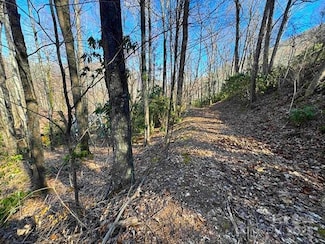 0 Summit Dr, Maggie Valley, NC 28751