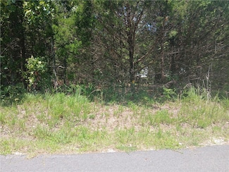 TBD Ben Nevis, Briarcliff, AR 72653