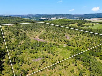 N Letitia Ave, Fayetteville, AR 72701