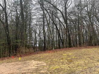 3625 Sunrise Ridge Dr, Holton Township, MI 49457