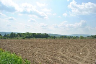 0 Wolf Rd Unit S1072133, Homer, NY 13077