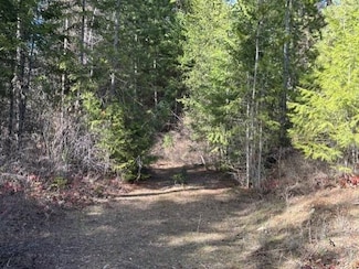 35xx Mountainview Rd, Chewelah, WA 99109