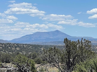 8755 S Rim Ranch Rd, Valle, AZ 86046