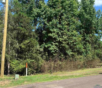 00 Cr 2600, Pittsburg, TX 75686