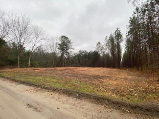 0 Weeping Cherry Ln, Manning, SC 29102