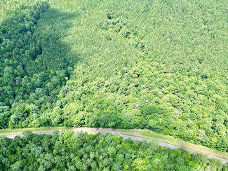 11264 Halso Mill Rd, Greenville, AL 36037