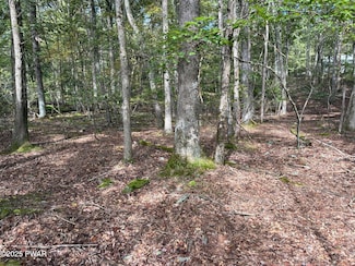 0 Seneca Dr, Dingman Township, PA 18337