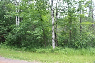 51XX Olson Rd, Brule, WI 54820
