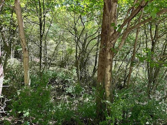 Lot 10 Alpenglow Ridge Dr, Dryfork, WV 26260