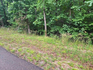 0 Yeager Ln Unit 10179905, Counce, TN 38326