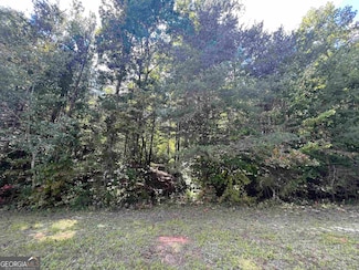 LOT 1 N Laceola Rd, Cleveland, GA 30528
