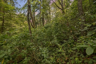 Lot 02 Cathedral Dr, Aptos, CA 95003