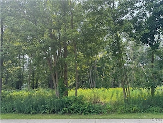 0 McClanathan Ave, Vienna, NY 13308