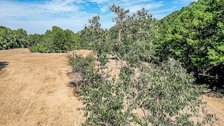 1 Balerma Church Rd, Sparta, GA 31087