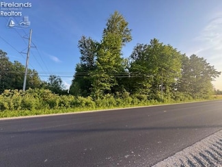 0 Ohio 590, Burgoon, OH 43407
