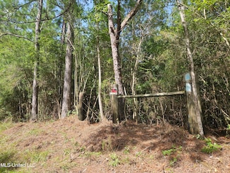 23150 Tally Shaw Rd, Perkinston, MS 39573