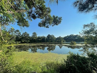 220 Dillon Rd (28 Acres), Thomasville, GA 31757
