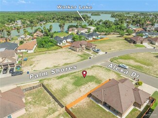 409 Alexa Dr, La Joya, TX 78560