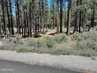 202 Village Trail Unit 36, Portola, CA 96122