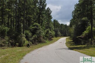 0 Captain Cone Ct Unit Lot  20 167481, Brooklet, GA 30415