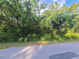 9239 N Buttercup Way, Crystal River, FL 34428