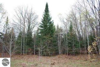 CR 401 M-28, Newberry, MI 49868