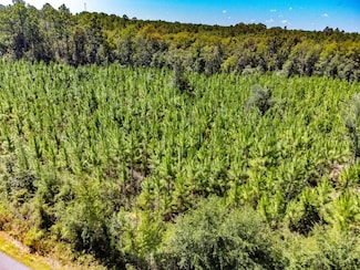 XX2 Podge Rd, Telogia, FL 32334