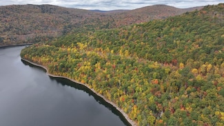 0 Huntley Hollow Rd Unit 18321973, Colchester, NY 13755