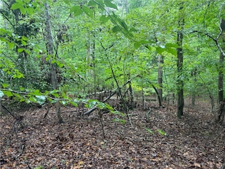 0 Lake Forest Dr Unit 20287759, Abbeville, SC 29620