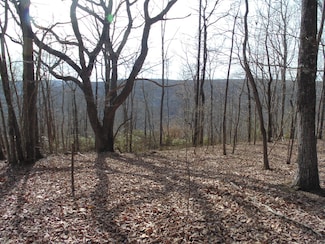 0 Nancy Wynn Rd Unit RTC2802725, Sewanee, TN 37375