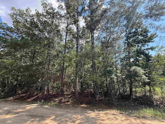 12965 Sandridge Rd, Vidor, TX 77662