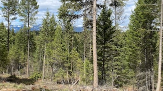 Nhn Soaring Eagle Dr, Whitefish, MT 59937