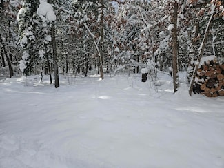 7106 Michigan 37, Irons, MI 49644