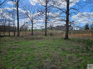 TBD Billstown Rd, Delight, AR 71940