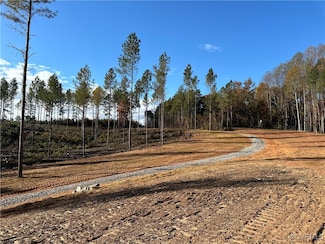 0 Amelia Springs Rd Unit 2501775, Amelia, VA 23083