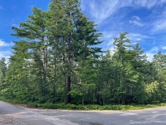 0 White Tail Ln Unit 4964688, Silver Lake, NH 03875