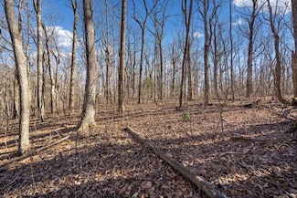 0 St Andrews Unit 412395, Ellijay, GA 30536