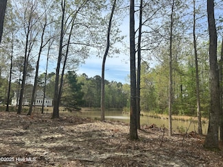 0 Paint Ln Unit 100499593, Hertford, NC 27944