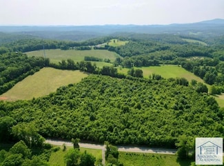 0 Charity Hwy, Woolwine, VA 24185