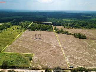 11.73 Acres L5 New Hinson Rd, Slocomb, AL 36375