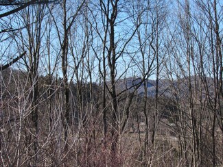 35 Atwood Ave, Woodstock, VT 05091