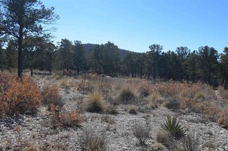 0 Fairground Dr Unit 12, Timberon, NM 88350