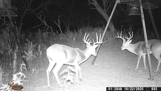 Tbd Cr 267, Brownwood, TX 76801